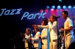 [Photo provided by Jazzpark]
CMG holds Jazzpark once a month where anyone can join in on the excitement. This festive event is a guaranteed culturally enriching experience.